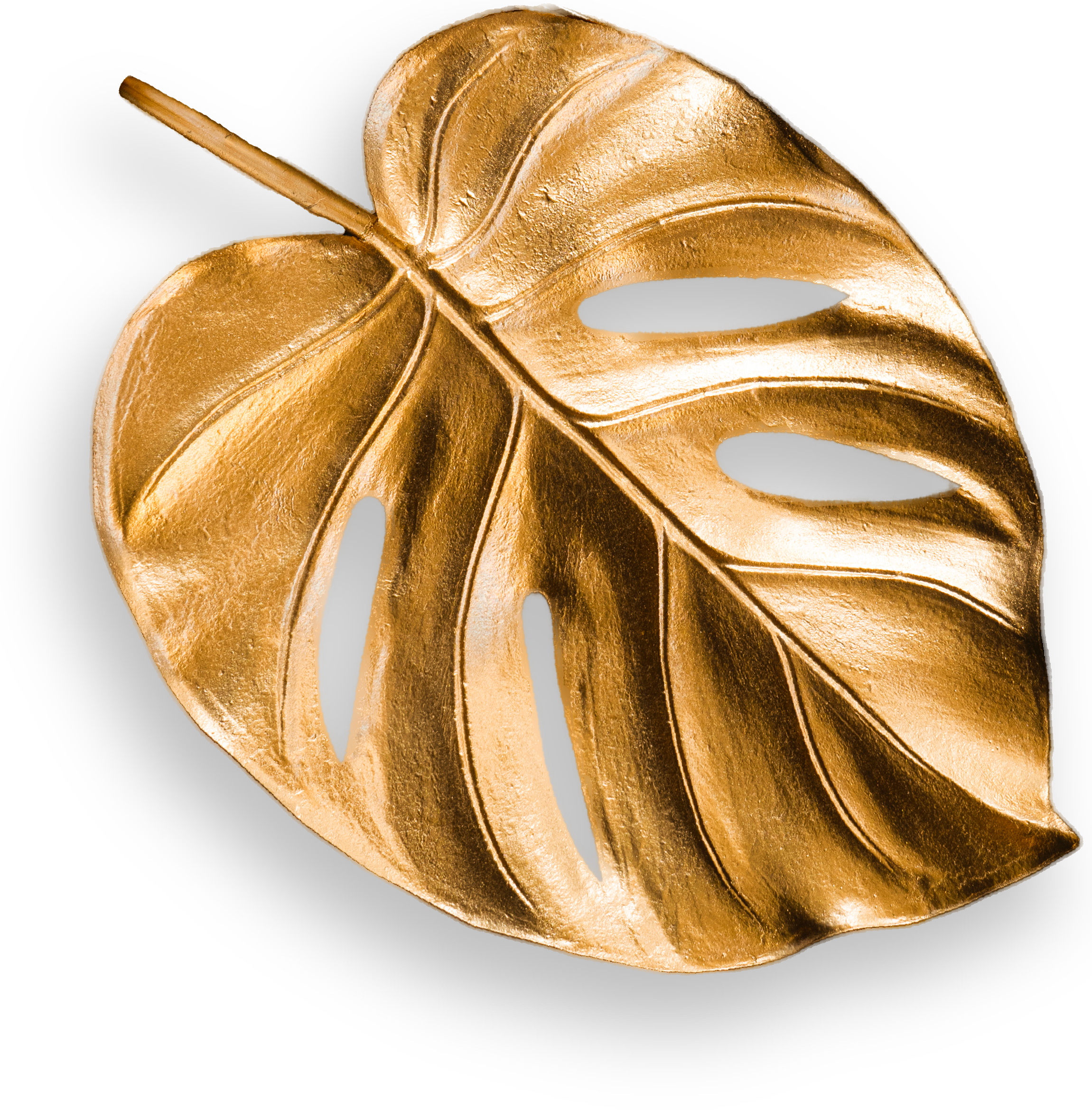 Hoja decorativa
