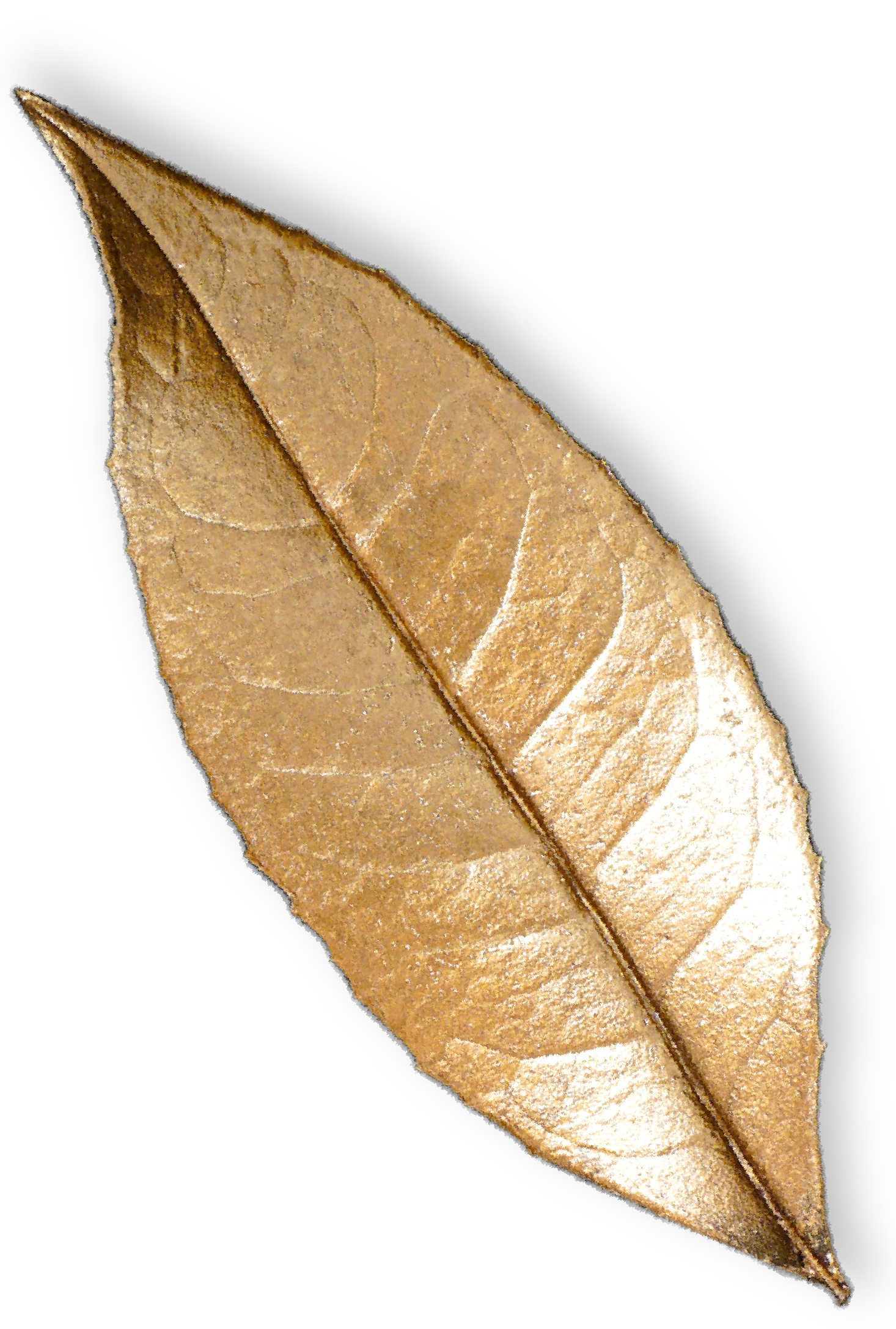 Hoja decorativa superior